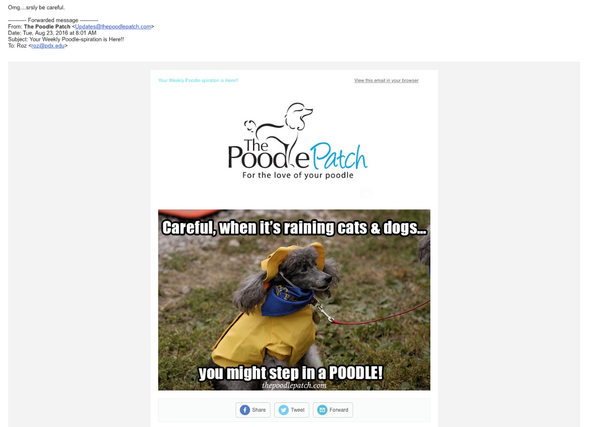 When Teresa called me