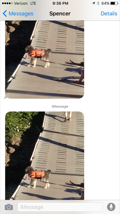 When Teresa called me