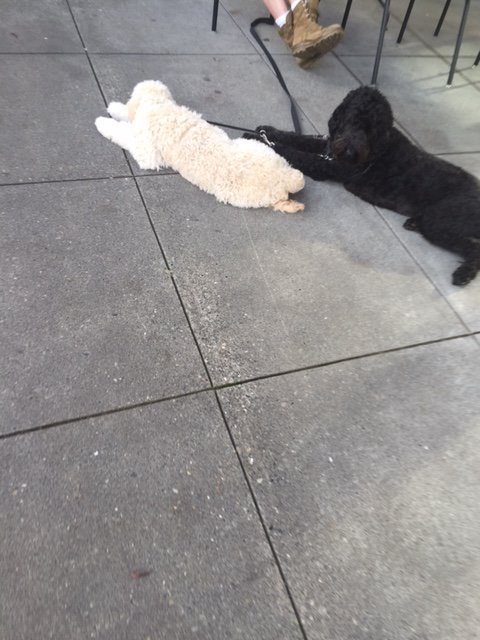 When Teresa called me