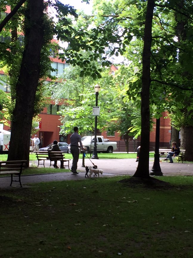 When Teresa called me