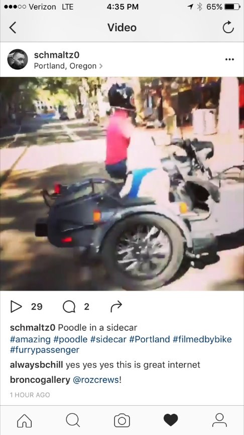 When Teresa called me