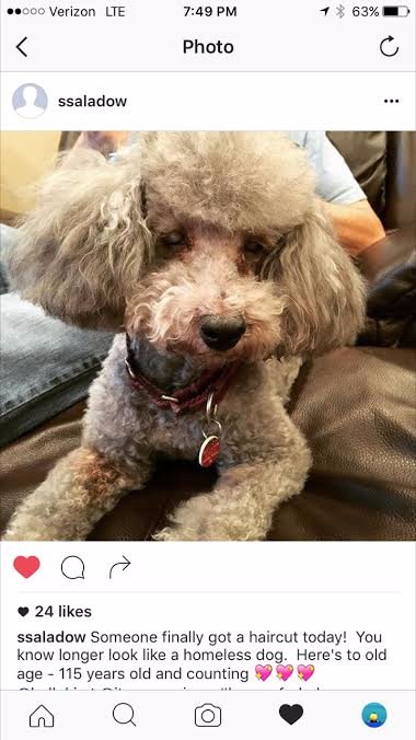 When Teresa called me