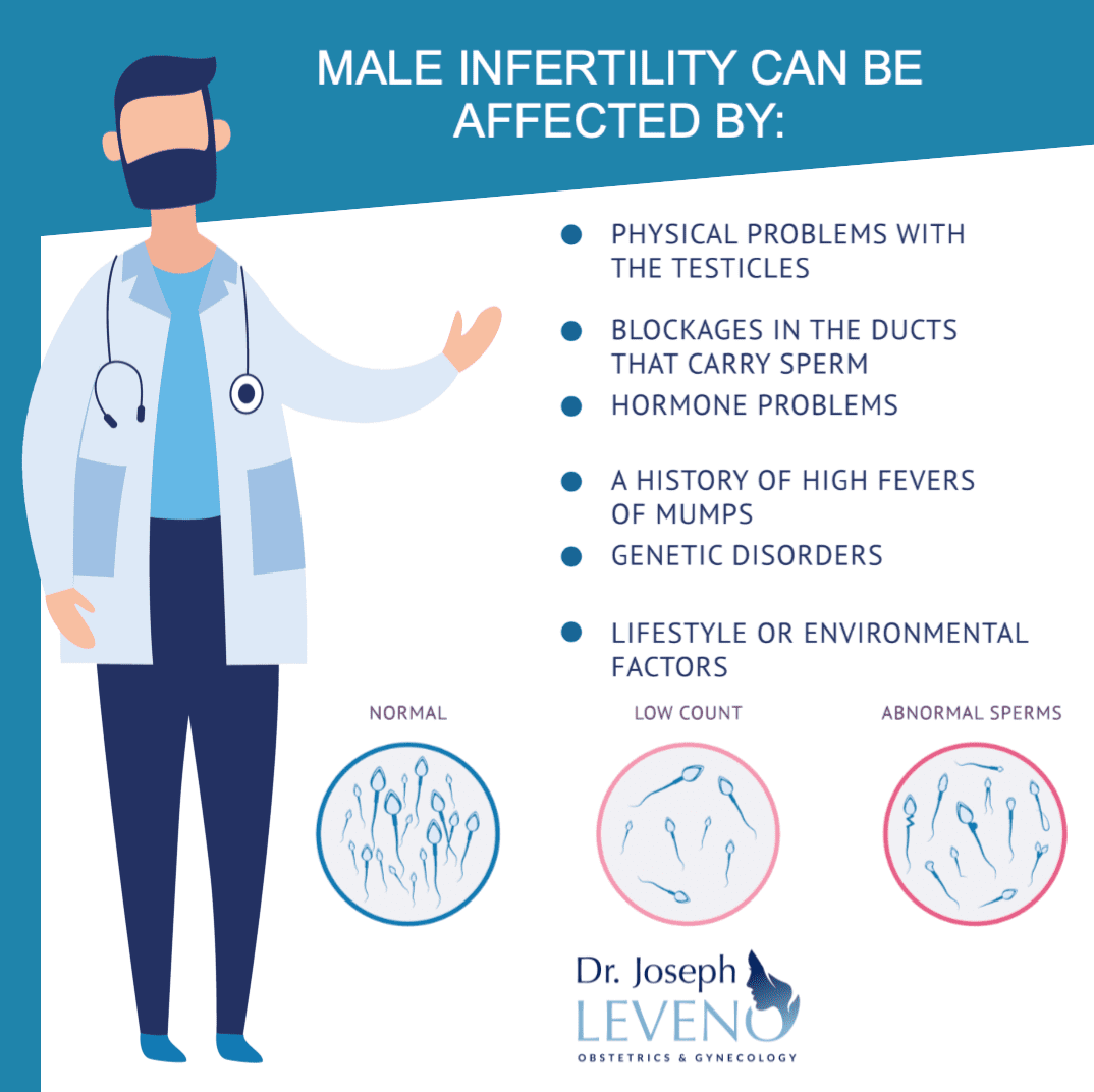 Male Infertility Information Services Help Pregnant Obgyn Plano Texas Leveno Dr Joseph Leveno 6001