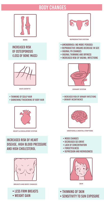 Menopause - Dr. Joseph Leveno