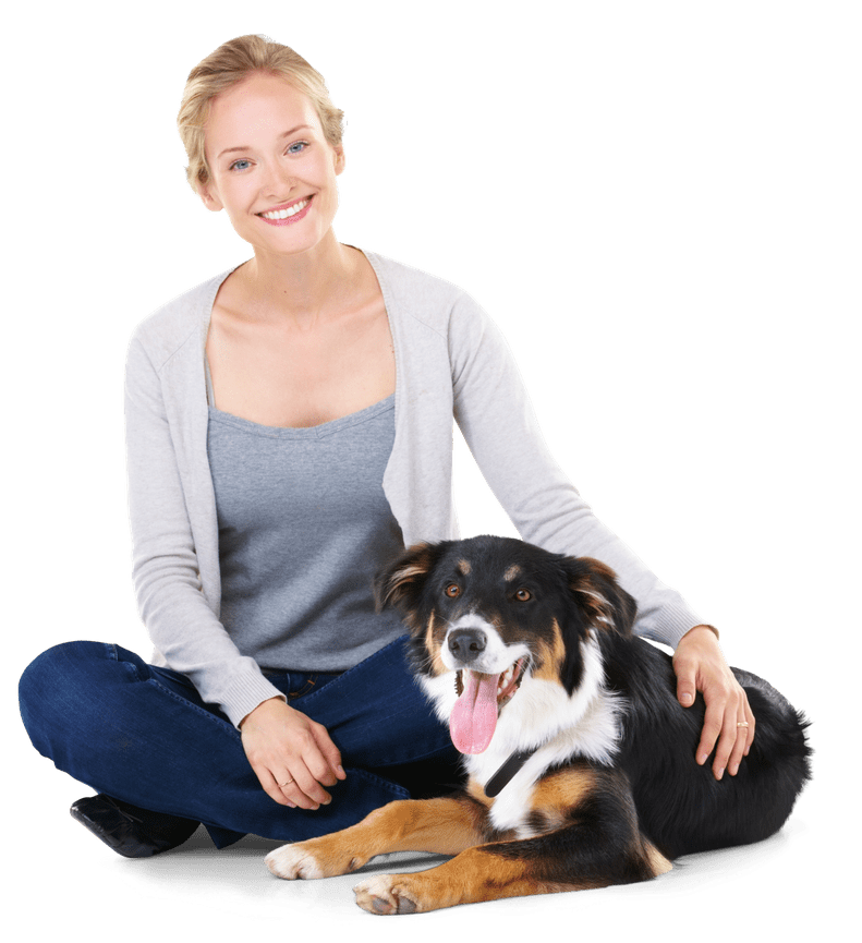 Spca*:・'°☆品 SPCA of Wake County added a new photo. - SPCA of Wake County