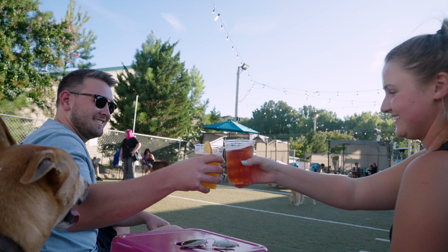 Doggos Dog Park & Pub