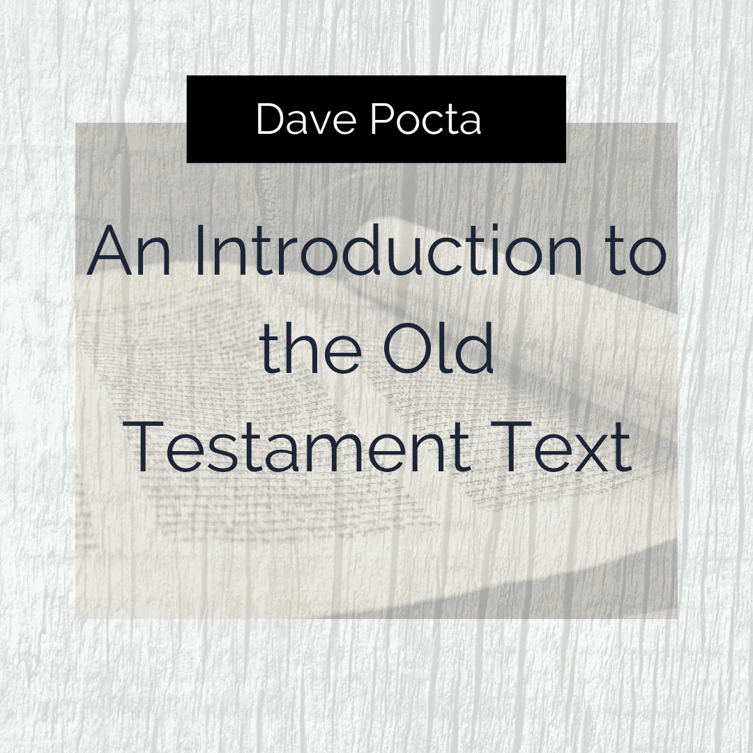 new testament original text