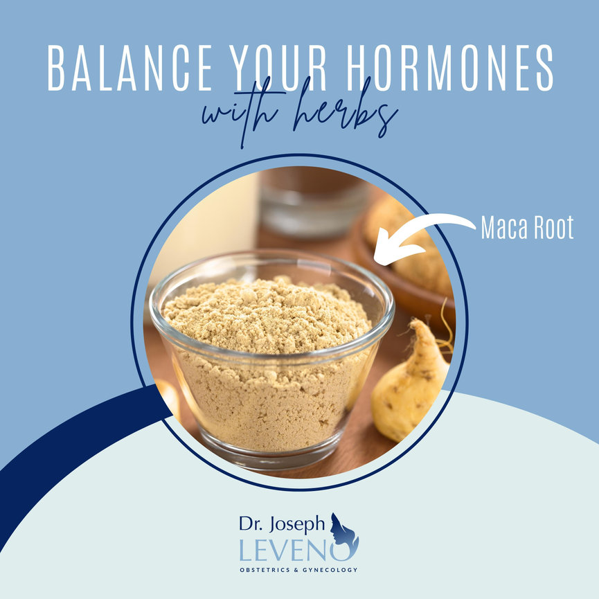 Herbs To Help Balance Womens Hormones Dr Joseph Leveno