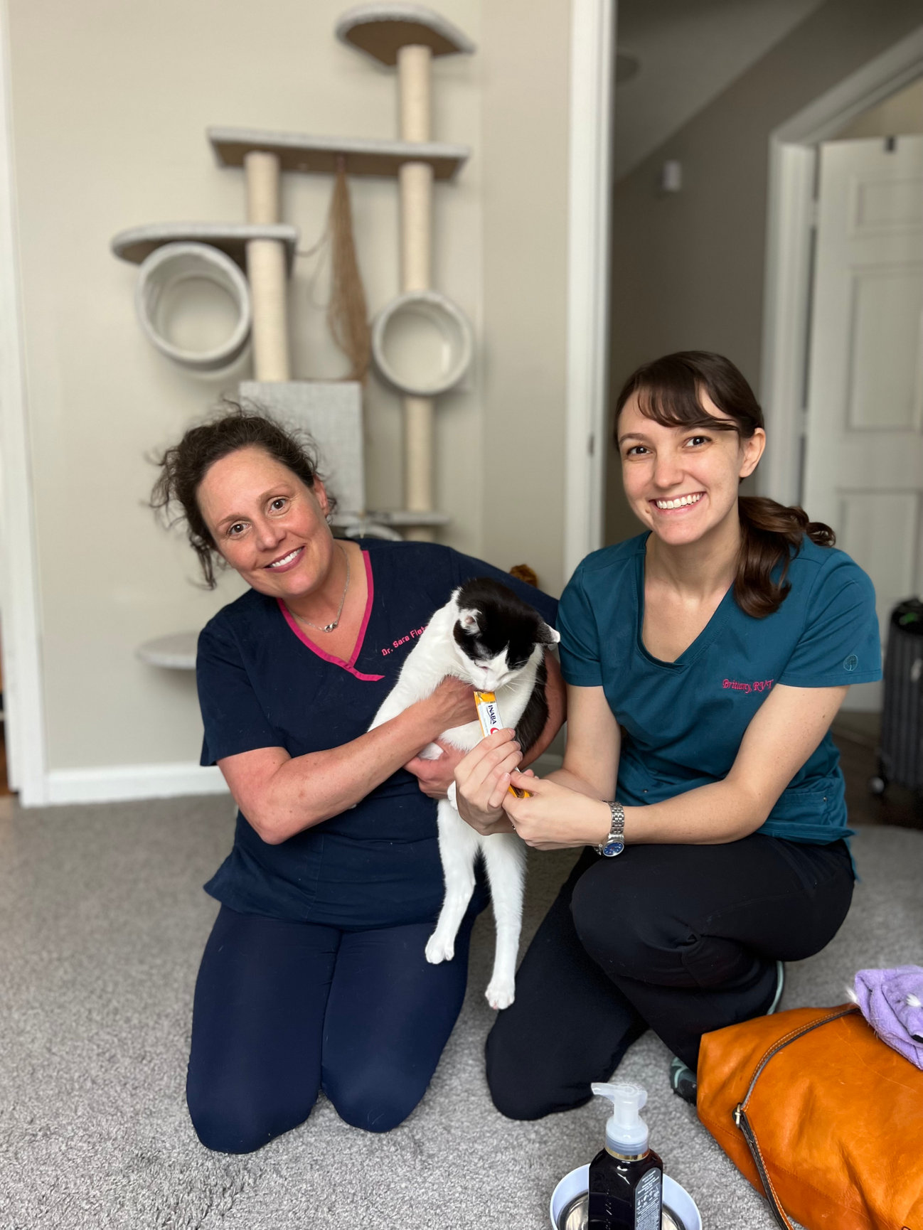 About Us - Greensboro Mobile Veterinary Housecalls