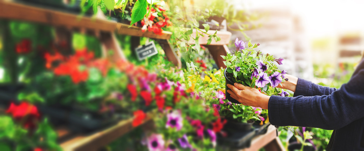 shopping for flowers at a garden center