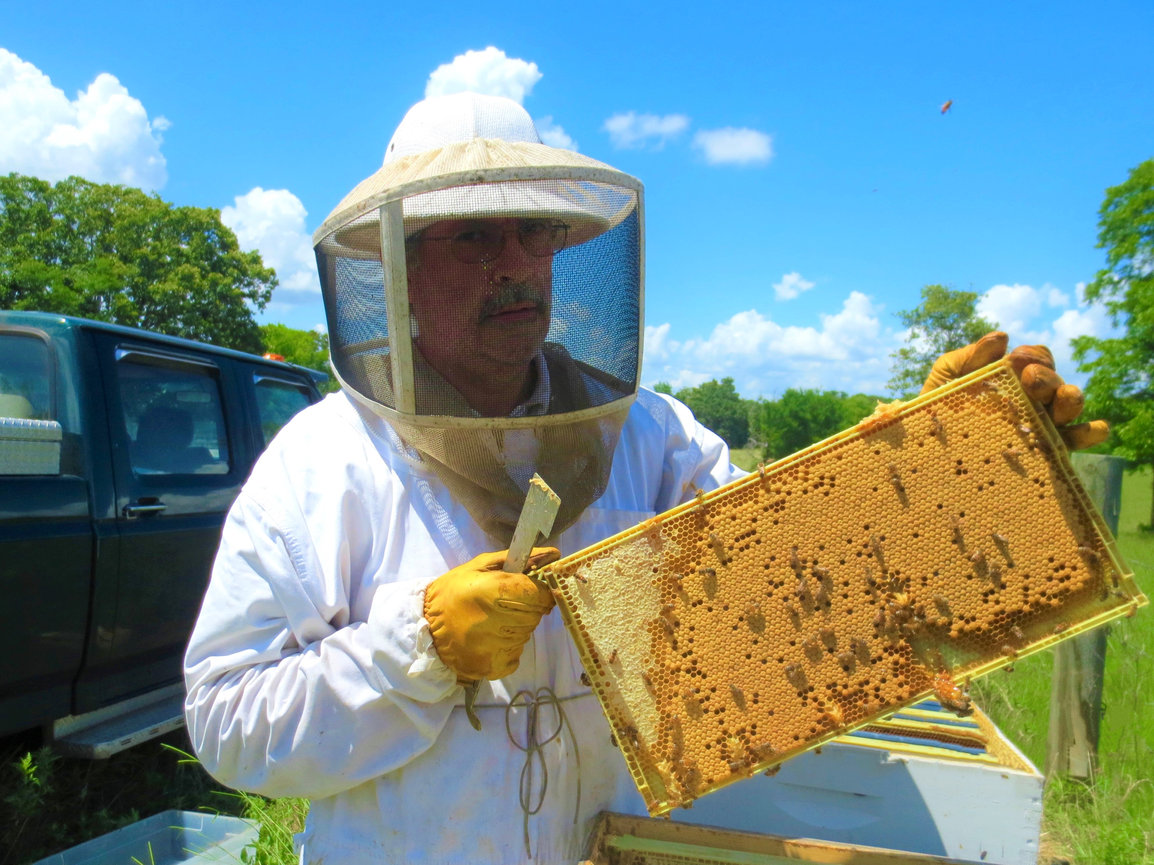 Dallas Raw Honey & Queen Bees for Sale Joyful Bee Farms
